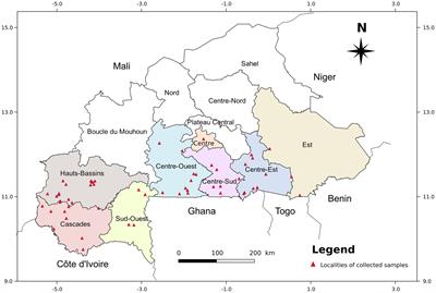 Genomic analysis and identification of potential duplicate accessions in Burkina Faso cassava germplasm based on single nucleotide polymorphism